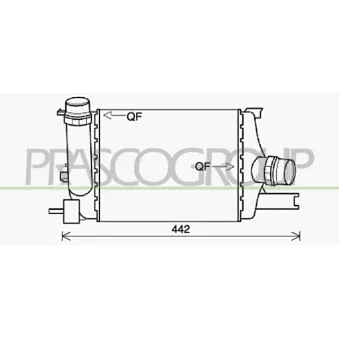 Intercooler, échangeur PRASCO DA822N001