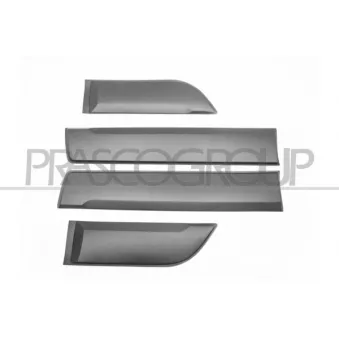 Baguette et bande protectrice, porte PRASCO DA8241400