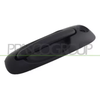 Poignée extérieure de porte avant gauche PRASCO DG0058008