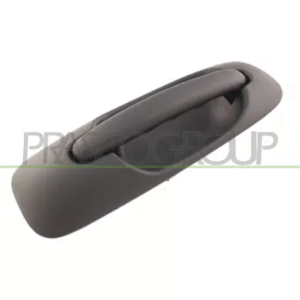 Poignée extérieure de porte PRASCO DG0058101