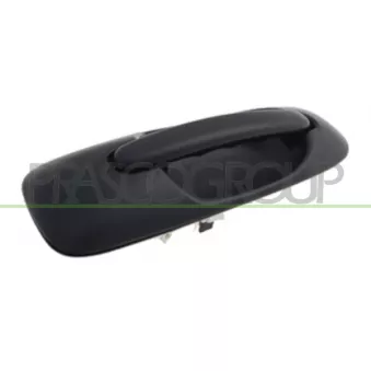 Poignée extérieure de porte PRASCO DG0058107