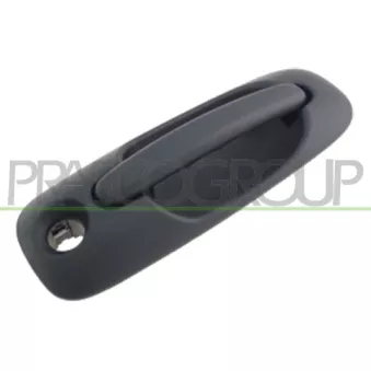 Poignée extérieure de porte PRASCO DG0058141