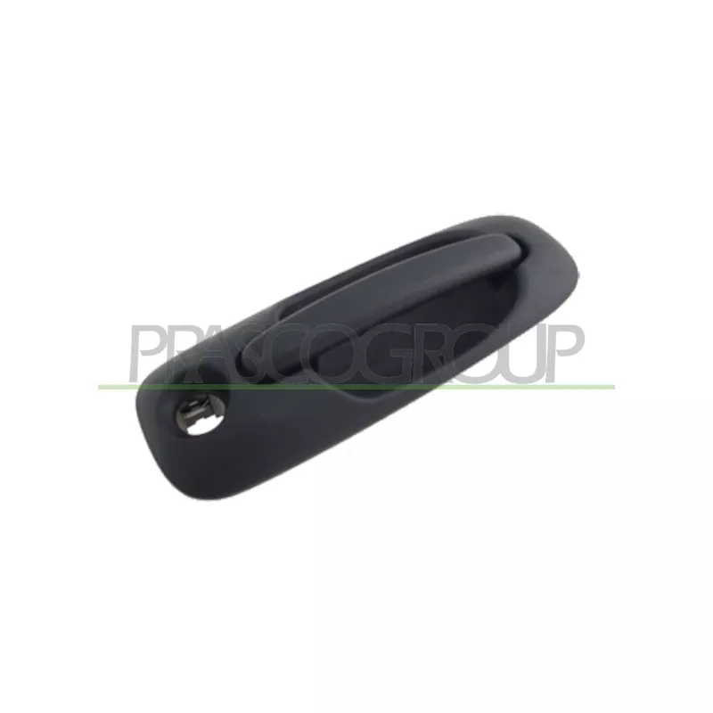 Poignée extérieure de porte PRASCO DG0058142