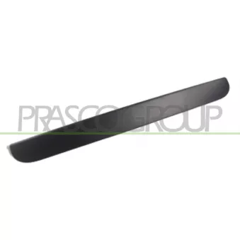 Poignée extérieure de porte PRASCO DG0058301