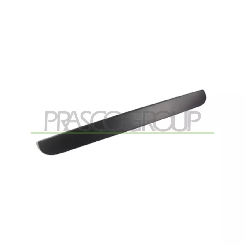 Poignée extérieure de porte PRASCO DG0058301