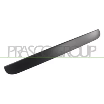 Poignée extérieure de porte PRASCO DG0058341