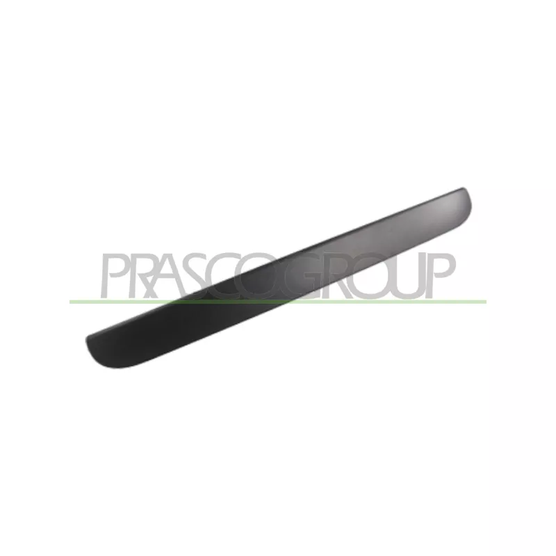 Poignée extérieure de porte PRASCO DG0058341