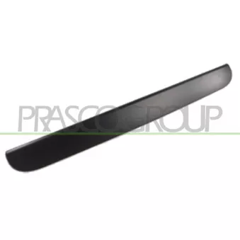 Poignée extérieure de porte PRASCO DG0058347