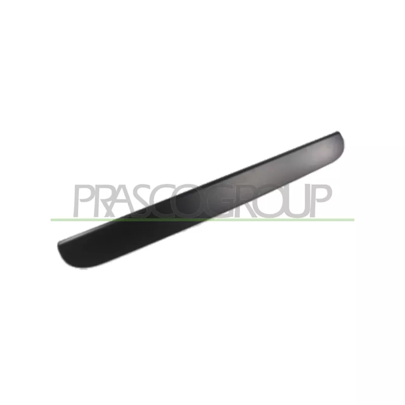 Poignée extérieure de porte PRASCO DG0058347
