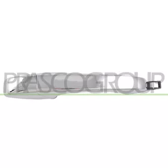 Poignée extérieure de porte PRASCO DG0118115
