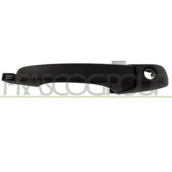 Poignée extérieure de porte avant gauche PRASCO DG8158002
