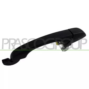 Poignée extérieure de porte arrière gauche PRASCO DG8158104
