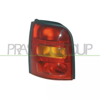 Feu arrière PRASCO DS0074054