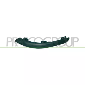 Baguette et bande protectrice, pare-chocs avant gauche PRASCO DS0091244