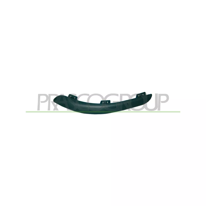 Baguette et bande protectrice, pare-chocs avant gauche PRASCO DS0091244