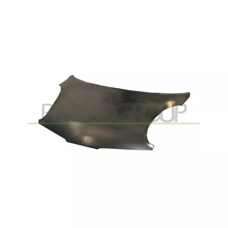 Capot-moteur PRASCO DS0113100