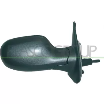 Rétroviseur extérieur PRASCO DS0117113P
