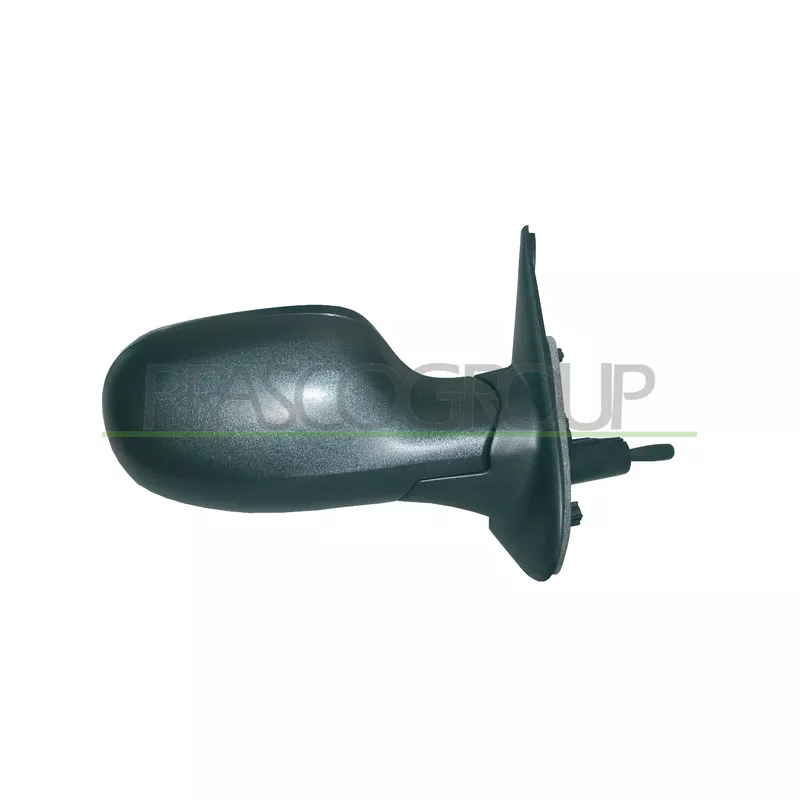 Rétroviseur extérieur PRASCO DS0117113P
