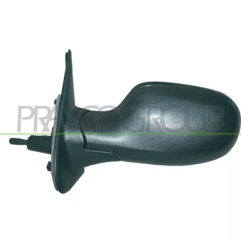 Rétroviseur extérieur PRASCO DS0117114P