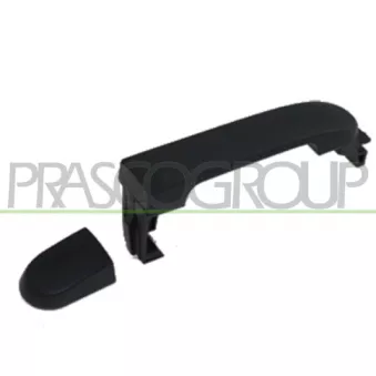 Poignée extérieure de porte avant gauche PRASCO DS0118202