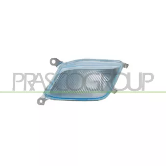 Disperseur, feu clignotant avant droit PRASCO DS0134113