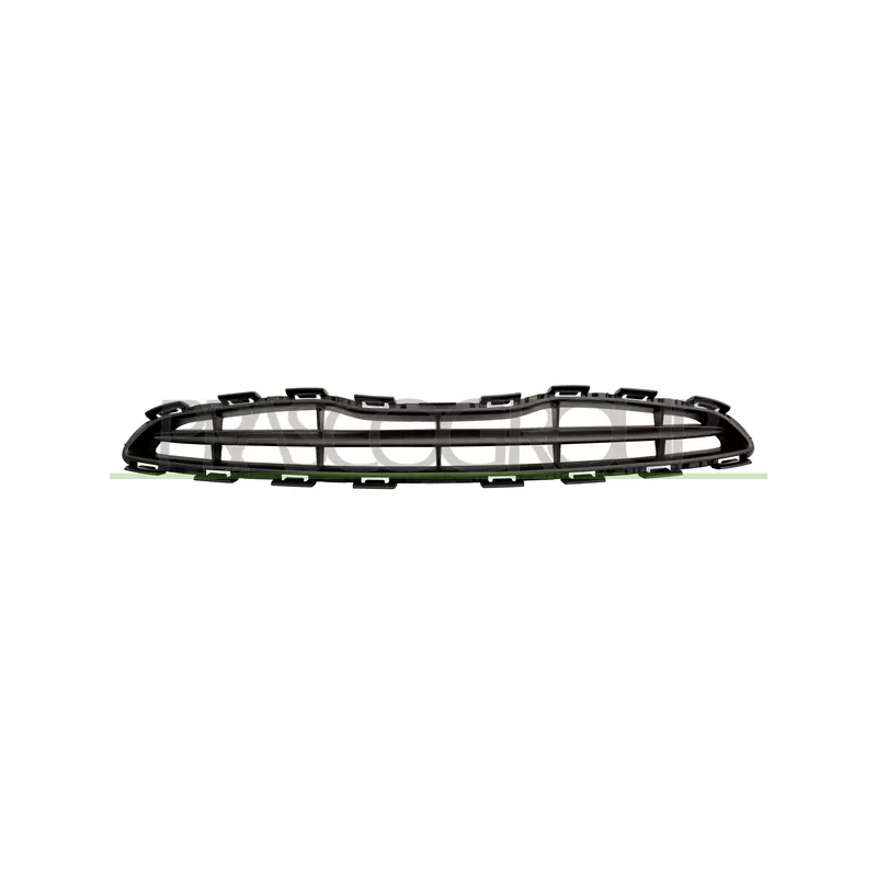 Grille de radiateur PRASCO DS0142001