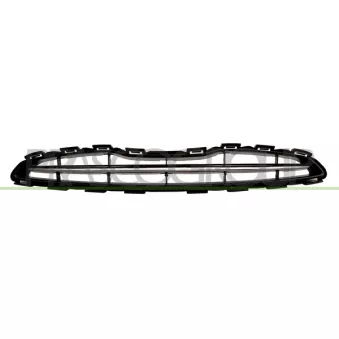 Grille de radiateur PRASCO DS0142011