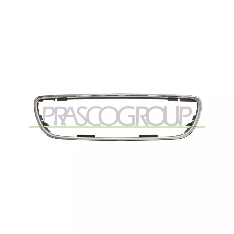 Baguette et bande protectrice, grille de radiateur PRASCO DS0142305