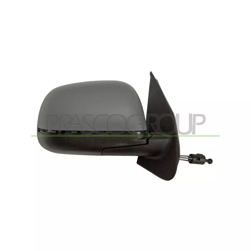 Rétroviseur extérieur PRASCO DS0147113