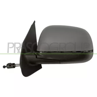 Rétroviseur extérieur PRASCO DS0147114