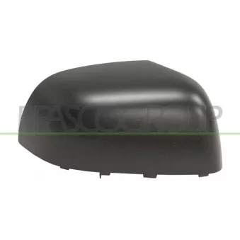 Revêtement, rétroviseur extérieur PRASCO DS0147403
