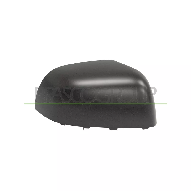 Revêtement, rétroviseur extérieur PRASCO DS0147403