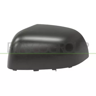 Revêtement, rétroviseur extérieur PRASCO DS0147404