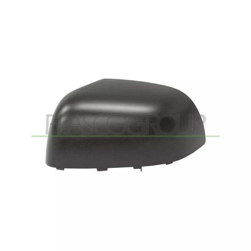 Revêtement, rétroviseur extérieur PRASCO DS0147404
