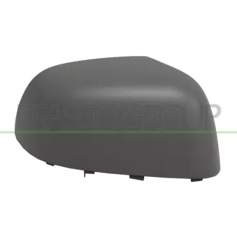 Revêtement, rétroviseur extérieur PRASCO DS0147413