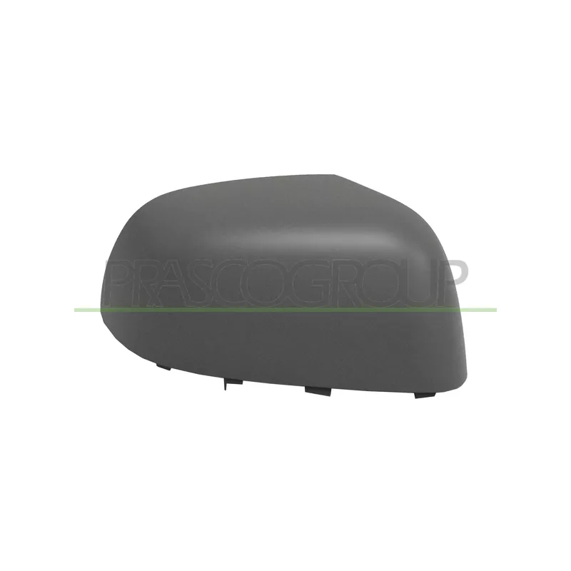 Revêtement, rétroviseur extérieur PRASCO DS0147413