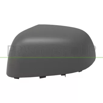 Revêtement, rétroviseur extérieur PRASCO DS0147414