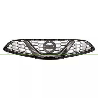 Grille de radiateur PRASCO DS0152001