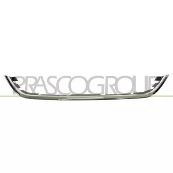 Baguette et bande protectrice, grille de radiateur PRASCO