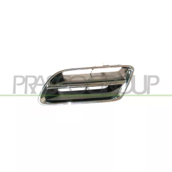 Grille de radiateur avant gauche PRASCO DS1752104