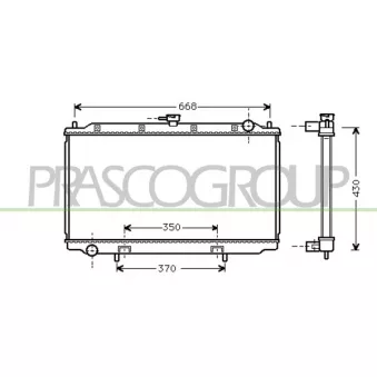 Radiateur, refroidissement du moteur PRASCO DS175R001