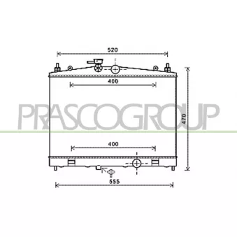 Radiateur, refroidissement du moteur PRASCO DS300R001