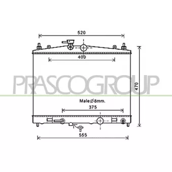 Radiateur, refroidissement du moteur PRASCO DS300R002