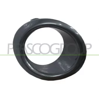 Cadre, projecteur antibrouillard PRASCO DS3501241