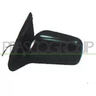 Rétroviseur extérieur PRASCO DS4227314