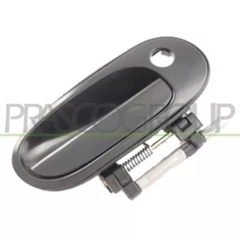 Poignée extérieure de porte avant droit PRASCO DS4228001