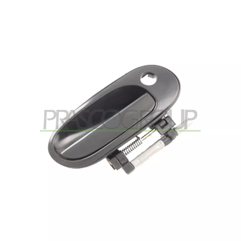 Poignée extérieure de porte avant droit PRASCO DS4228001