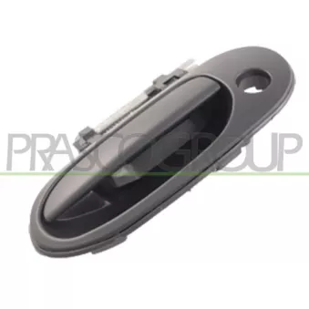 Poignée extérieure de porte avant gauche PRASCO DS4228002