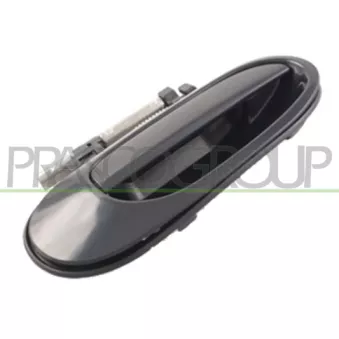 Poignée extérieure de porte arrière droit PRASCO DS4228101