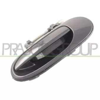 Poignée extérieure de porte arrière gauche PRASCO DS4228102